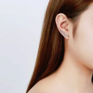 små stjärnor örhängen med Kubisk Zirkon i äkta Silver<VSmycken New