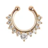 Septum fakepiercing kulor - Guld<VSmycken Clearance